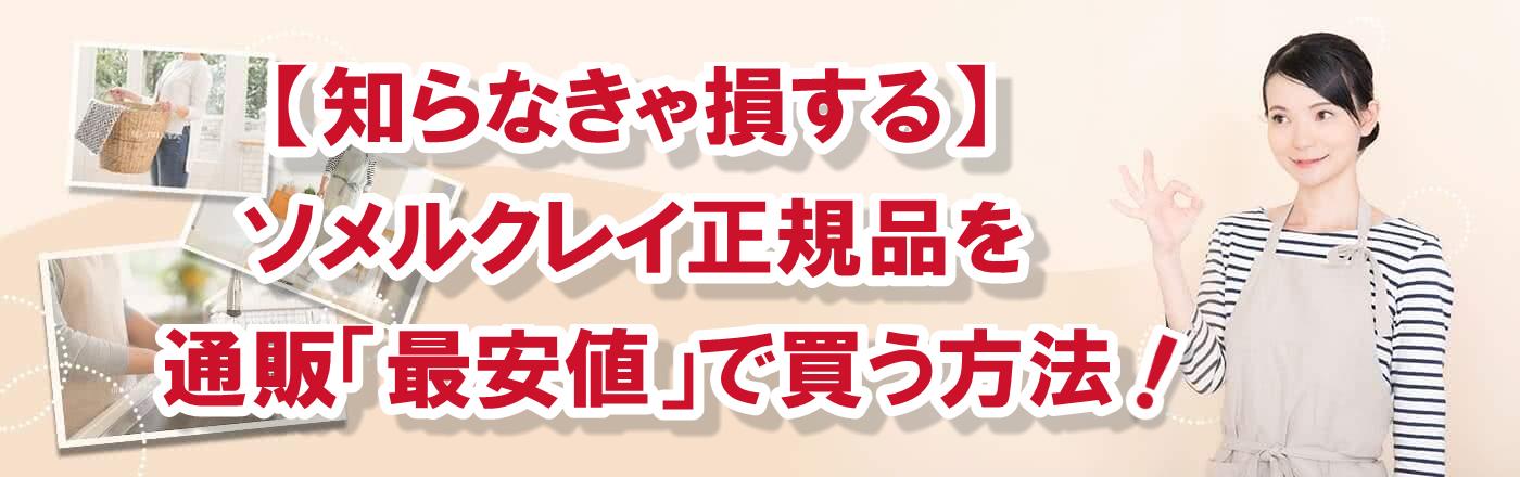 【知らなきゃ損する】ソメルクレイ正規品を通販「最安値」で買う方法